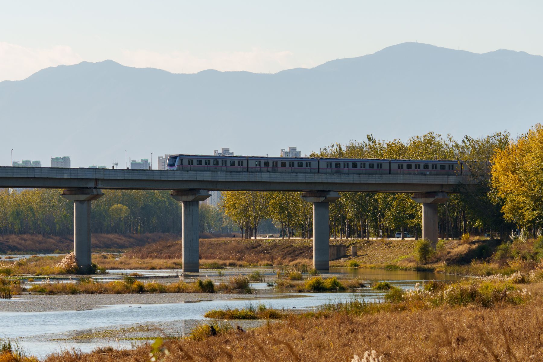 Rail + Infrastructure